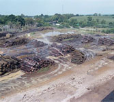 Log sort yard image